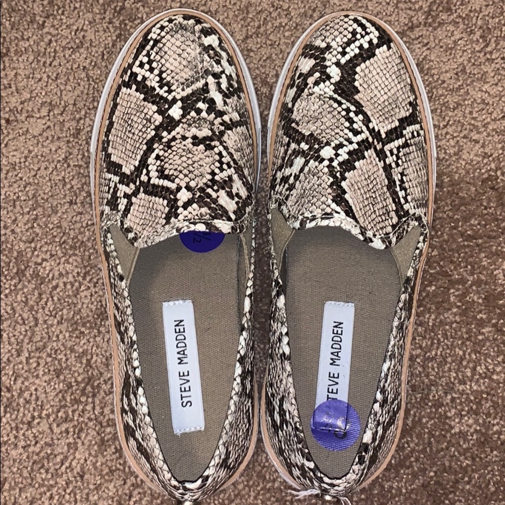 Snake skin print Steve Madden slip-ons